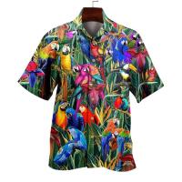 cms/erpbt/backend/web/uploads/erp/collection/images/Women clothes/FRYJ/EN450313/img_b/EN450313_img_b_4